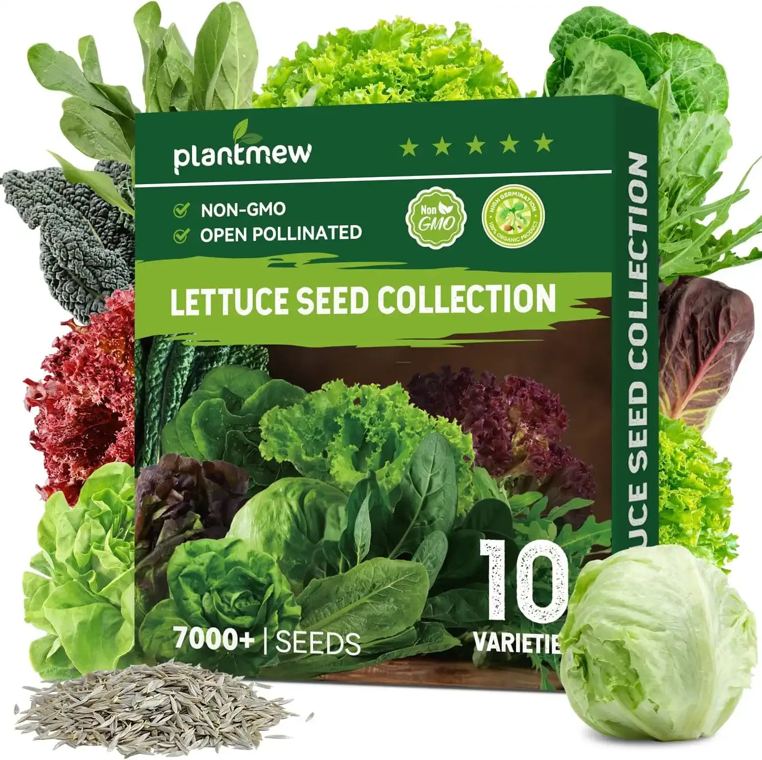 10-Variety Lettuce Seed Collection