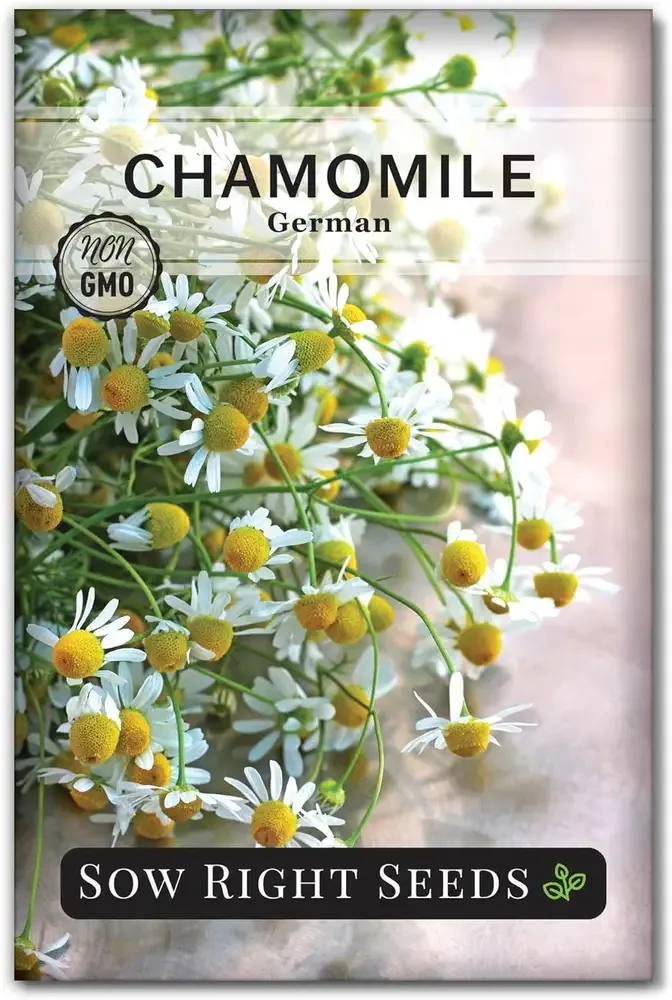 German Chamomile Seeds