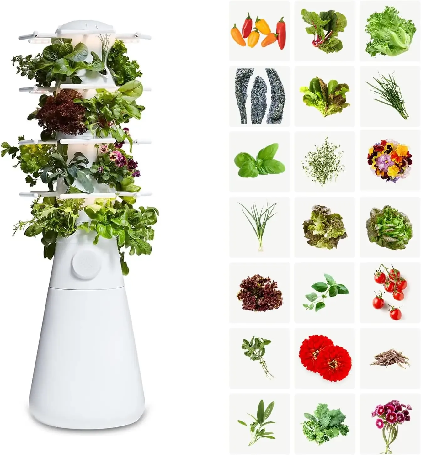 Lettuce Grow Farmstand Nook