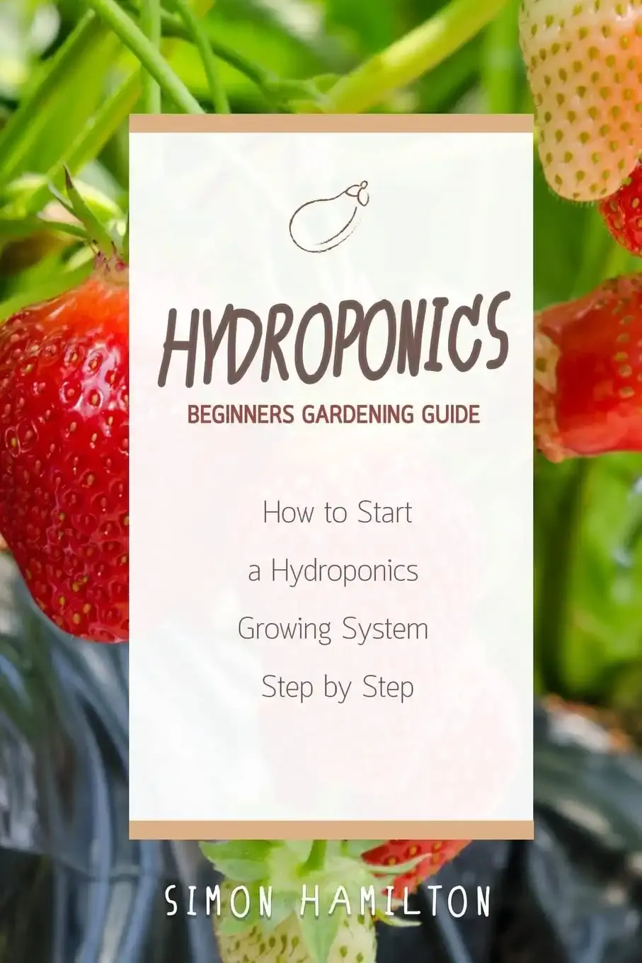 Hydroponics: A Practical Guide for Beginners