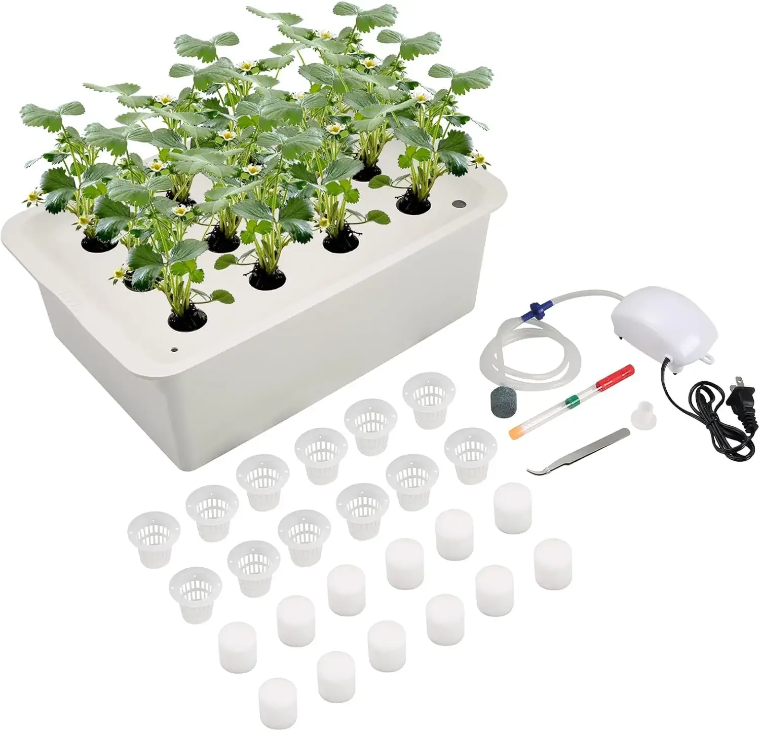 Indoor Herb Garden Kit
