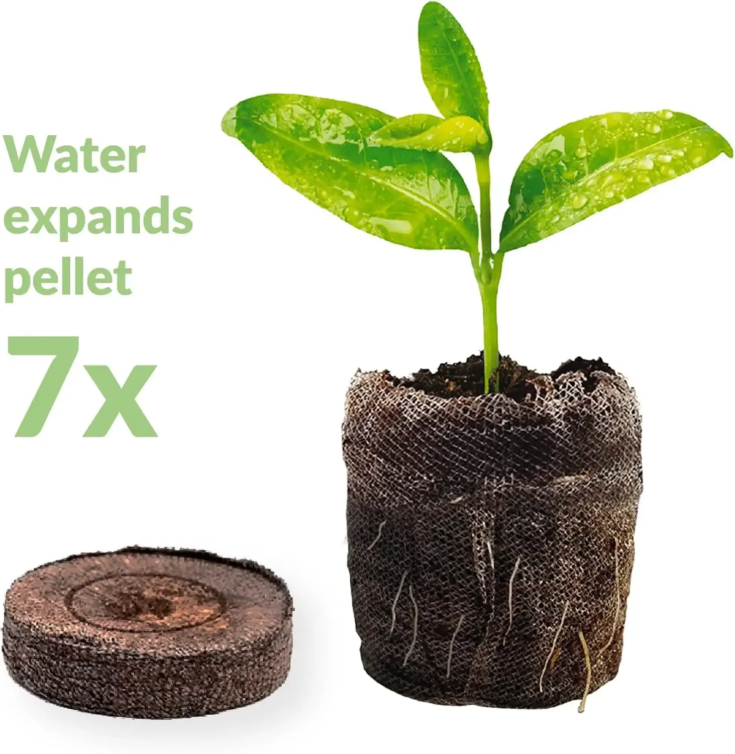 Jiffy 36mm Peat Pellets – 100 Count