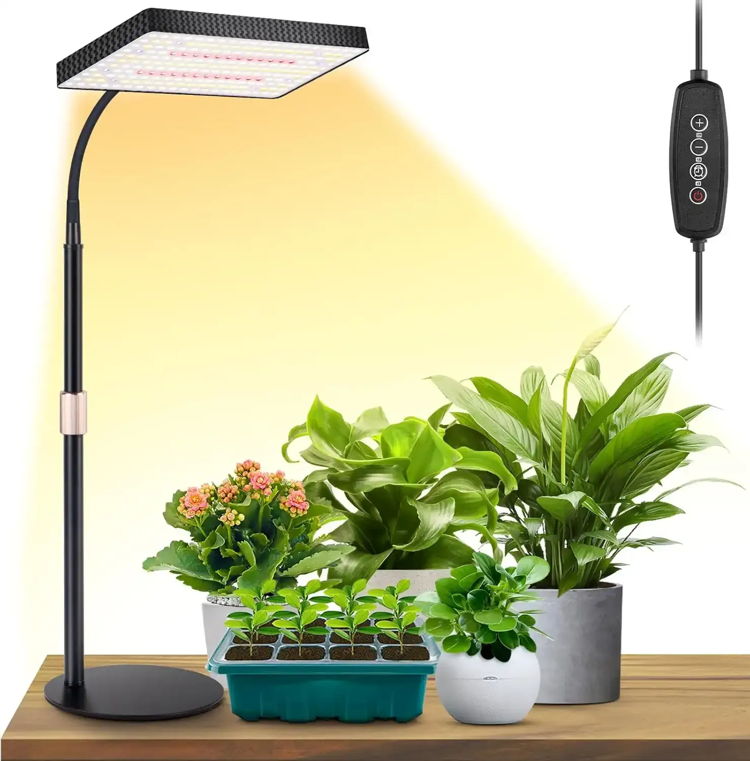 LBW Desk Grow Light