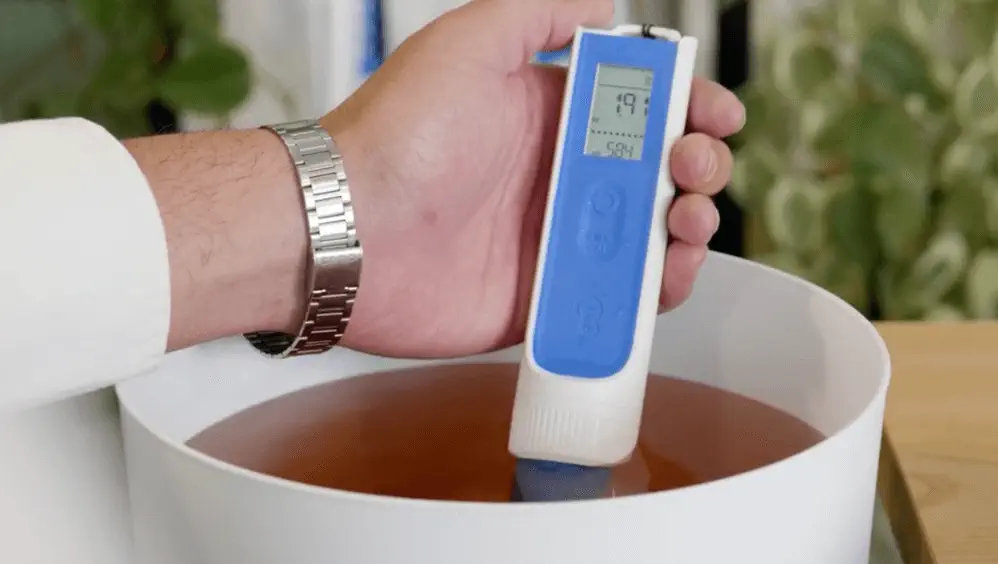 Common Hydroponic Mistakes Beginners Make and How to Avoid Them