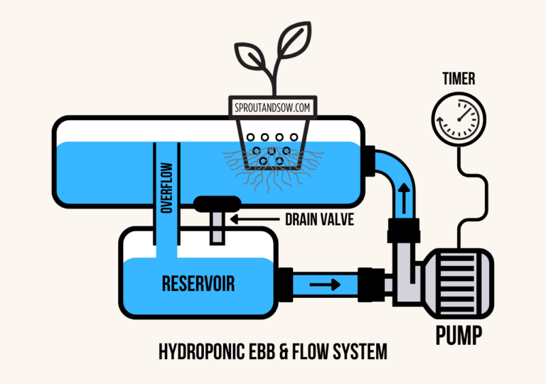 Basic Drawing of a Hydroponic Ebb and Flow System