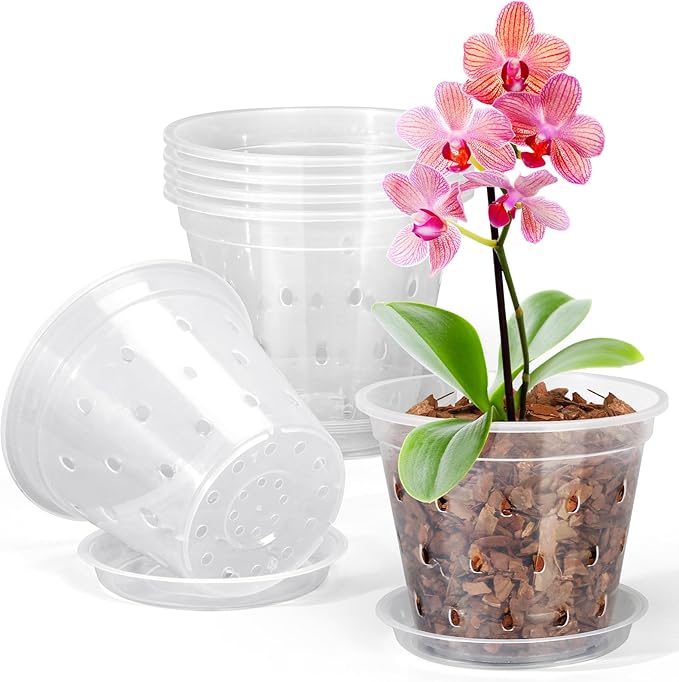 Orchid Pot - 4 Inch Clear with Saucer