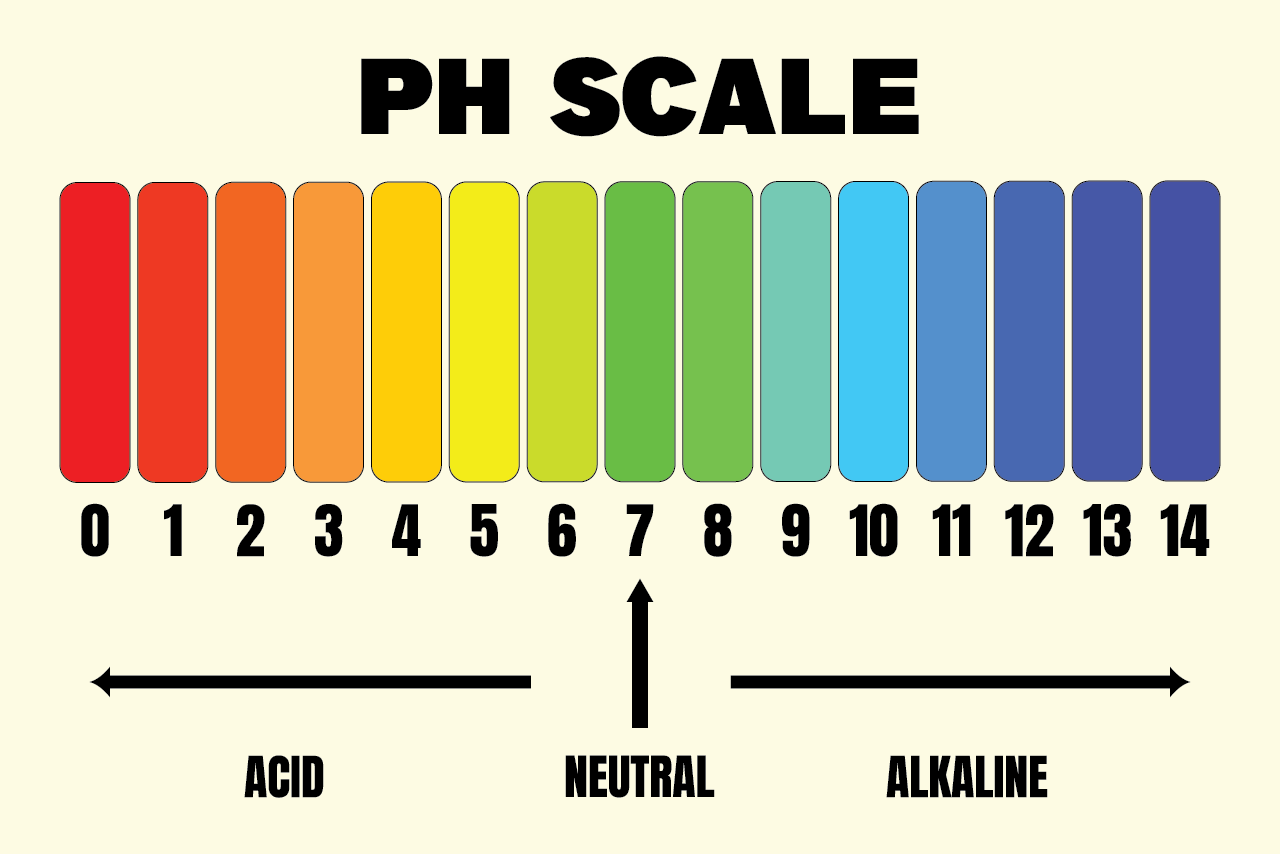 PH Scale