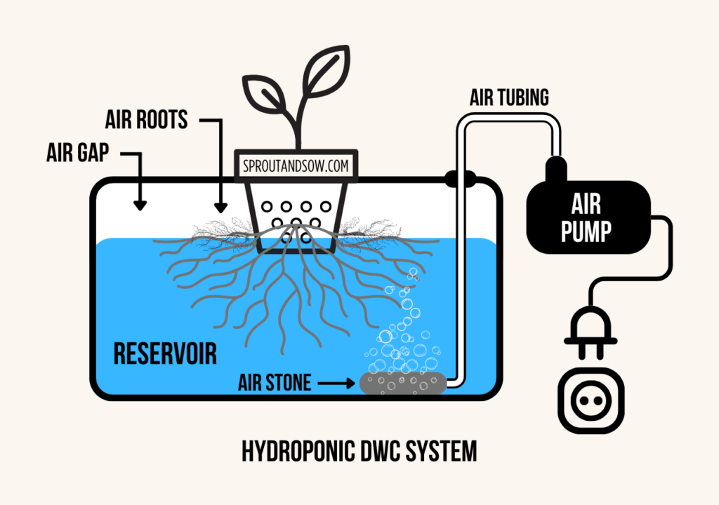 Basic Drawing of a Hydroponic DWC System