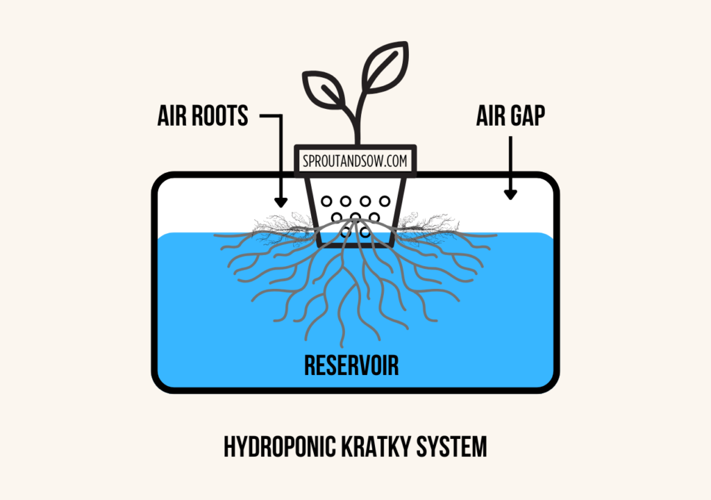 Basic Drawing of a Hydroponic Kratky System