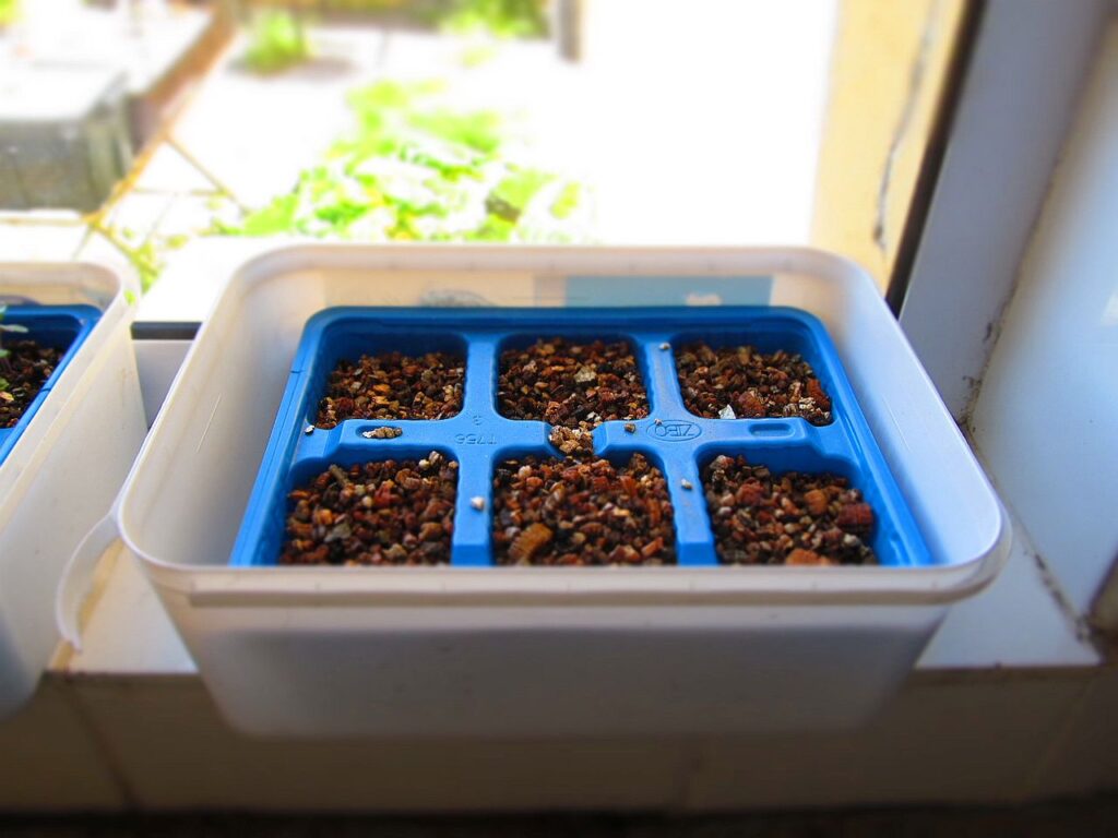 Starter Seed Tray with Vermiculite